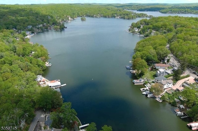 229A Squaw Trl, Hopatcong Boro, NJ 07821 - aerial overview of property's location with a nearby body of water and a heavily wooded area