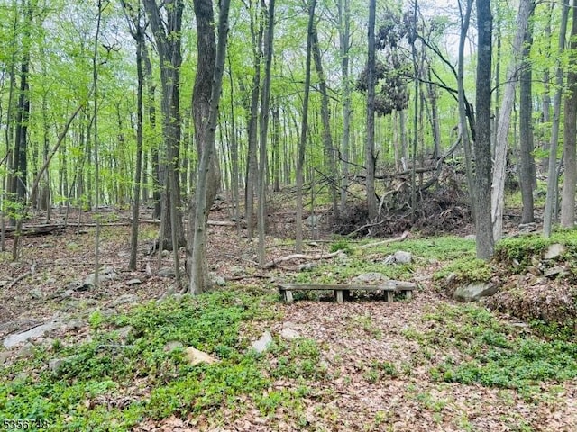 view of nature