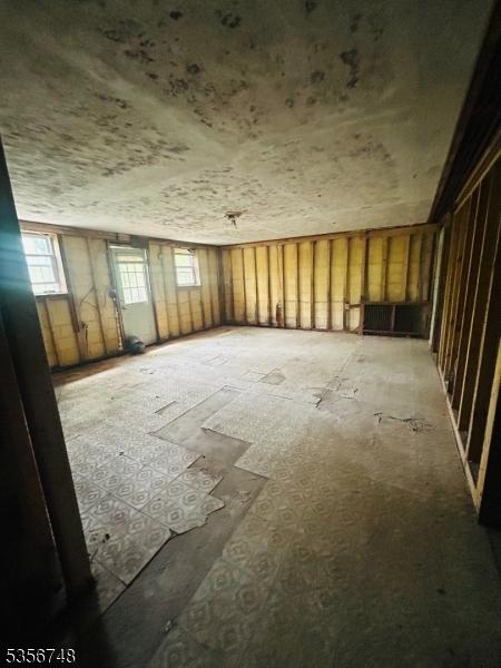miscellaneous room with healthy amount of natural light