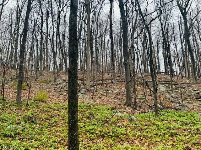 view of undeveloped land