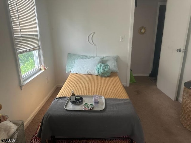 41 Central Ave, Caldwell Boro Twp, NJ 07006 - bedroom with carpet floors and baseboards