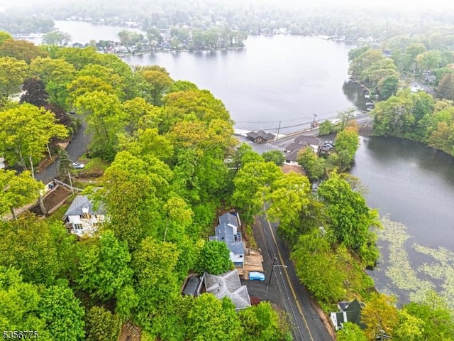 aerial view of a large body of water