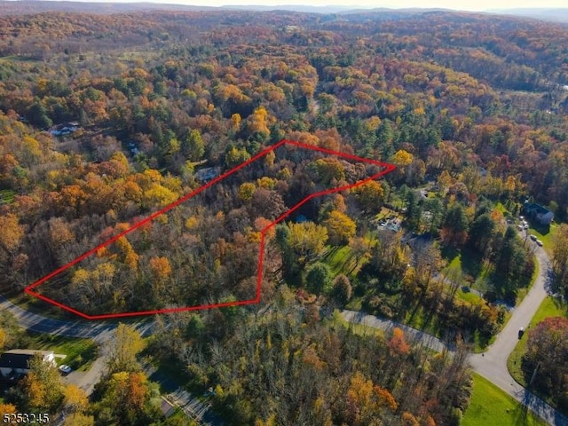 115 Overlook Dr, Montague Twp, NJ 07827