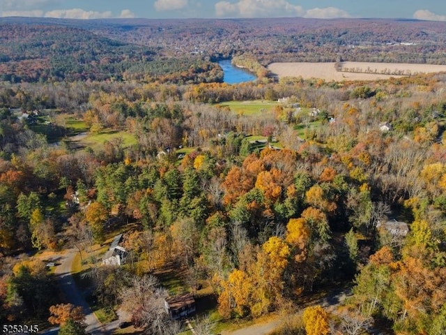 115 Overlook Dr, Montague Twp, NJ 07827