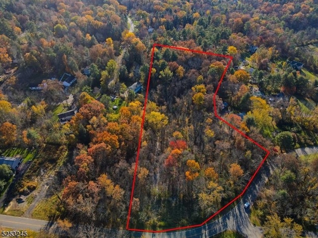 115 Overlook Dr, Montague Twp, NJ 07827