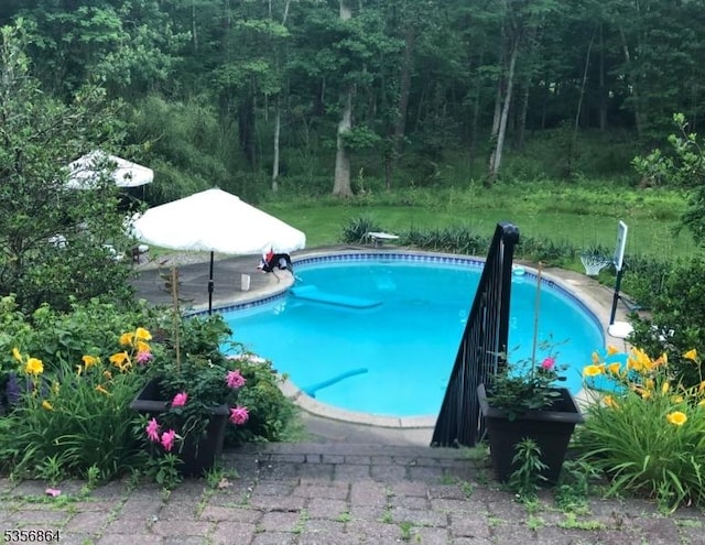 147 Liberty Corner Rd, Bernards Twp, NJ 07920 - swimming pool featuring a forest view and a diving board