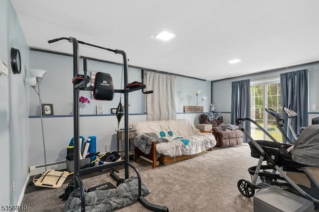 8 Hillside Ter, Green Twp, NJ 07821 - exercise room with carpet flooring