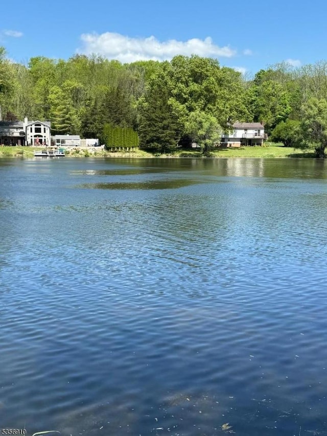 8 Hillside Ter, Green Twp, NJ 07821 - water view with a heavily wooded area