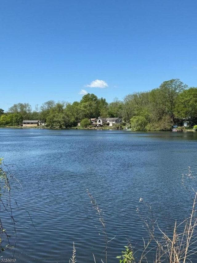 8 Hillside Ter, Green Twp, NJ 07821 - water view