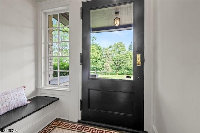 12 Harrison Ave, Montclair Twp, NJ 07042 - doorway to outside with healthy amount of natural light