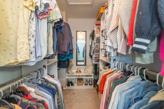 269 Edgeware Ct, Franklin Twp, NJ 08873 - walk in closet with carpet floors and attic access