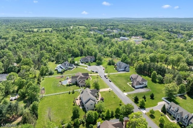 28 Handler Ct, Montgomery Twp, NJ 08502 - aerial view of property's location featuring a heavily wooded area and nearby suburban area