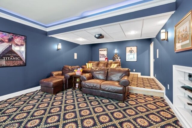 28 Handler Ct, Montgomery Twp, NJ 08502 - cinema featuring carpet flooring and baseboards