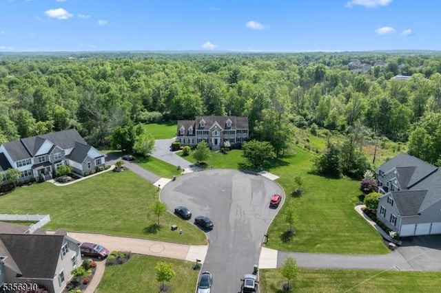 28 Handler Ct, Montgomery Twp, NJ 08502 - aerial view of a forest