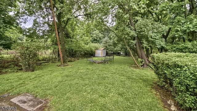 29 Oldham Rd, Wayne Twp, NJ 07470 - view of grassy yard featuring a storage shed and an outdoor structure