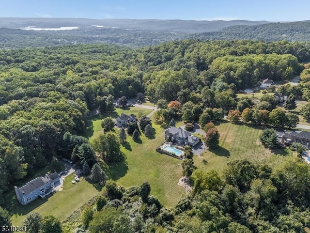 drone / aerial view of a forest