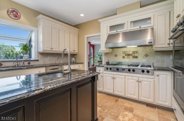 kitchen featuring stainless steel appliances, under cabinet range hood, a sink, recessed lighting, and backsplash