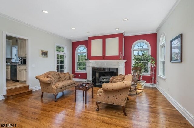 living area featuring crown molding, wood finished floors, a fireplace, baseboards, and recessed lighting