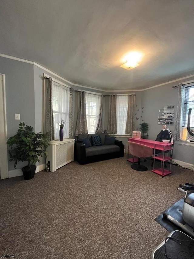 12 Gillespie Rd, Bloomfield Twp, NJ 07003 - living area with ornamental molding, carpet floors, and baseboards