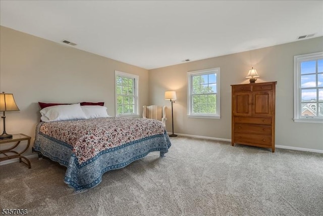 16 Dorset Ln, Andover Twp, NJ 07848 - carpeted bedroom with multiple windows and baseboards