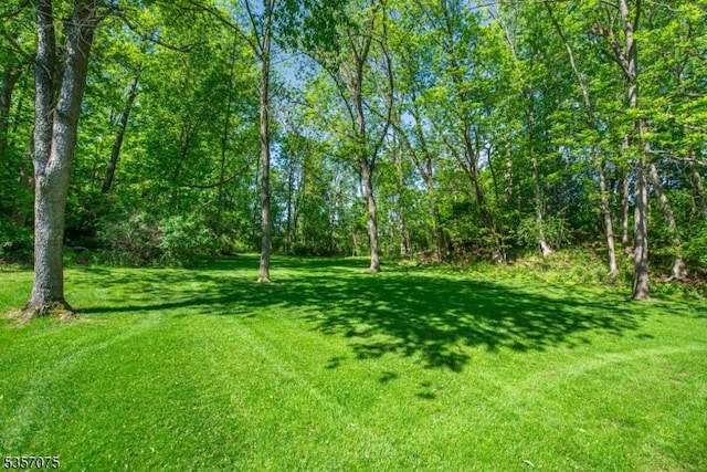 4 Ramsey Ct, Frelinghuysen Twp, NJ 07860 - view of green lawn