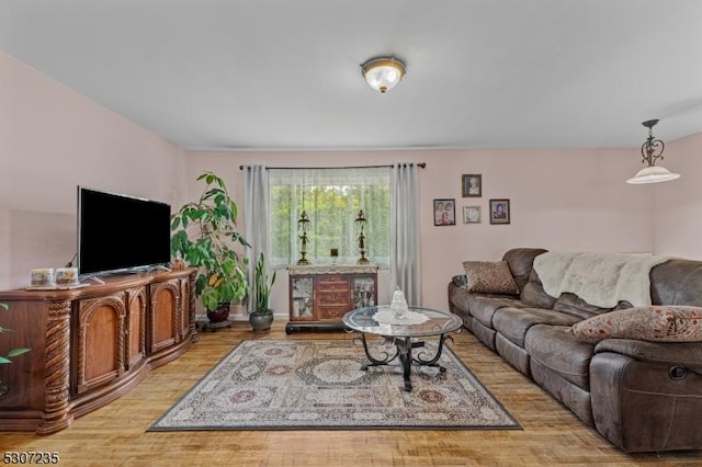 living room featuring wood finished floors