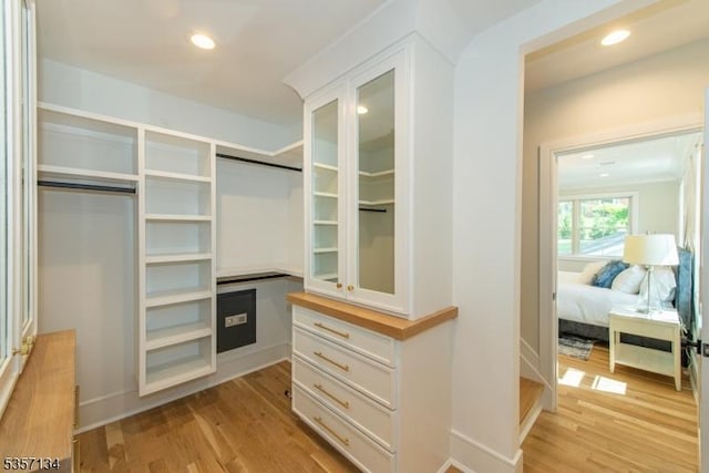 157 Meyersville Rd, Chatham Twp, NJ 07928 - walk in closet featuring light wood-style flooring
