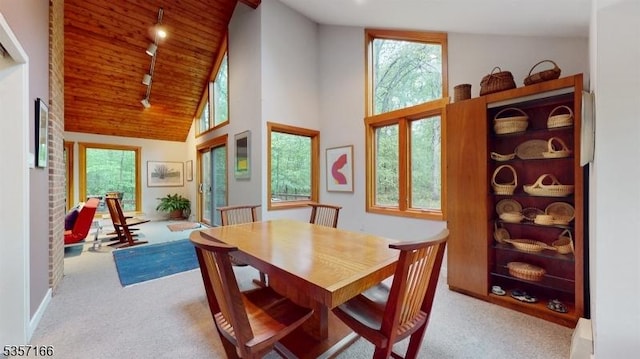 15 Pschorn Ln, Hillsborough Twp, NJ 08844 - carpeted dining room with rail lighting, high vaulted ceiling, wooden ceiling, and healthy amount of natural light