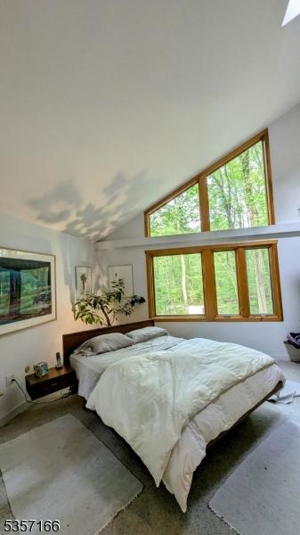 15 Pschorn Ln, Hillsborough Twp, NJ 08844 - carpeted bedroom featuring lofted ceiling