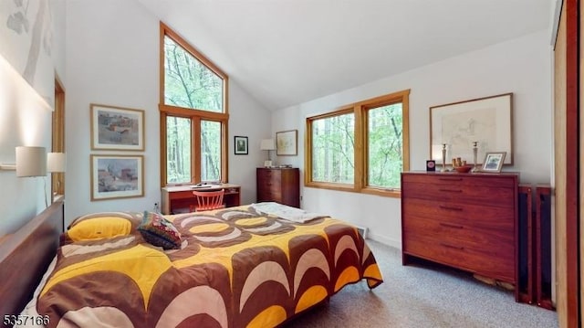 15 Pschorn Ln, Hillsborough Twp, NJ 08844 - bedroom featuring carpet flooring and high vaulted ceiling