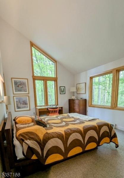 15 Pschorn Ln, Hillsborough Twp, NJ 08844 - bedroom featuring carpet floors and lofted ceiling