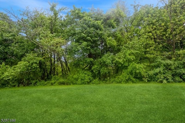 view of green lawn featuring a forest view