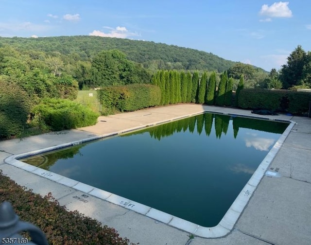 view of pool with a forest view