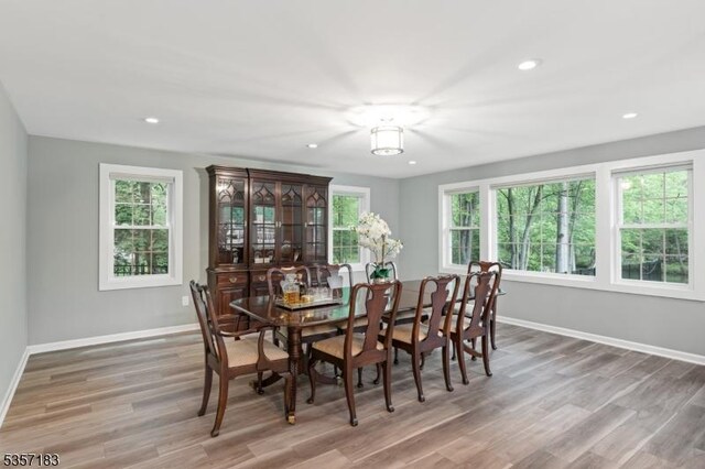 276 River Dr, River Vale Twp, NJ 07675 - dining space featuring plenty of natural light, baseboards, wood finished floors, and recessed lighting
