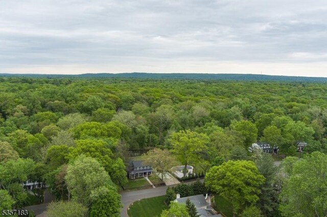 276 River Dr, River Vale Twp, NJ 07675 - bird's eye view of a heavily wooded area