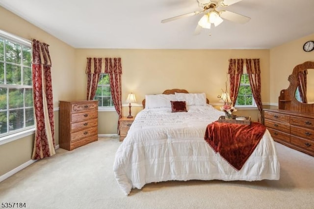 47 Nostrand Rd, Hillsborough Twp, NJ 08844 - bedroom with carpet floors, multiple windows, and baseboards