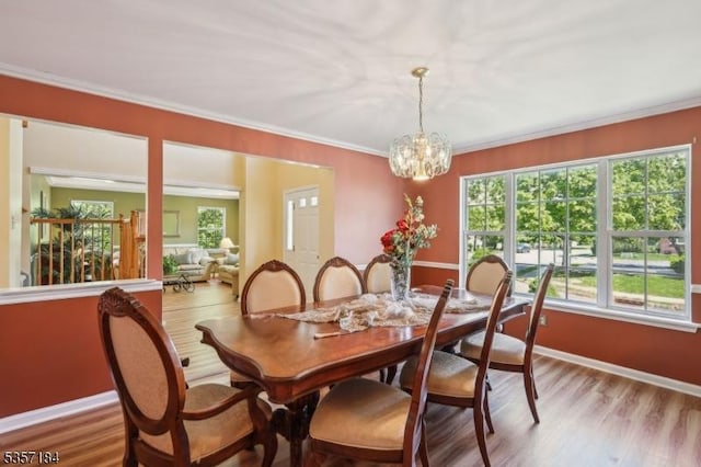 47 Nostrand Rd, Hillsborough Twp, NJ 08844 - dining room featuring light wood-style floors, a chandelier, crown molding, and baseboards