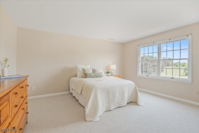 156 Fox Chase Rd, Chester Twp, NJ 07930 - bedroom with light carpet and baseboards