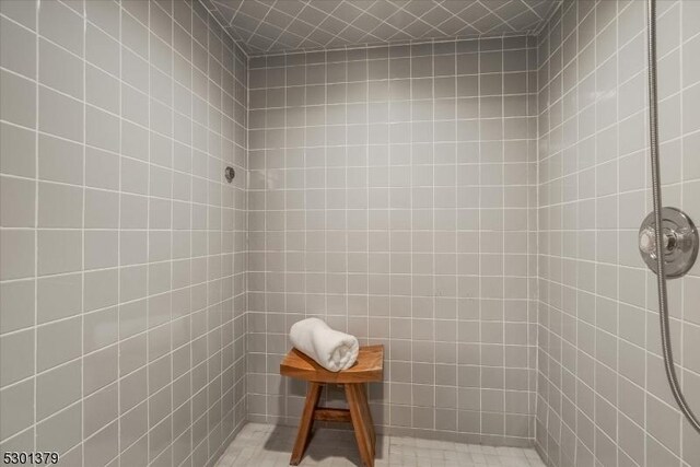 156 Fox Chase Rd, Chester Twp, NJ 07930 - full bath featuring a tile shower