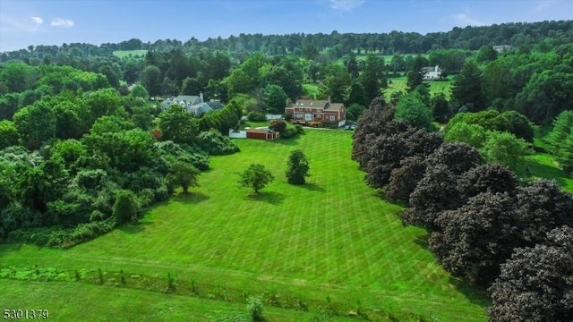 156 Fox Chase Rd, Chester Twp, NJ 07930 - aerial view of property and surrounding area featuring a forest