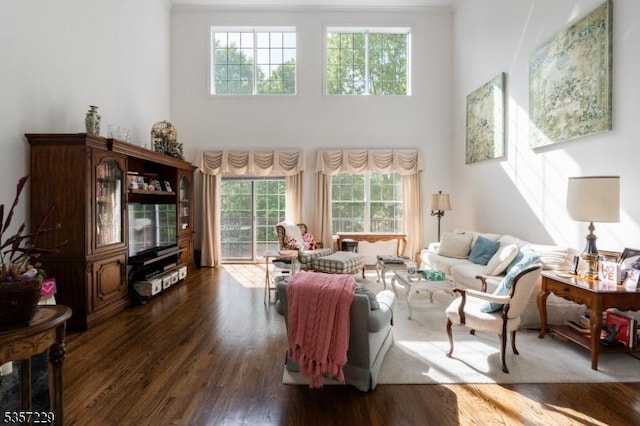 living area featuring a towering ceiling and dark wood-type flooring