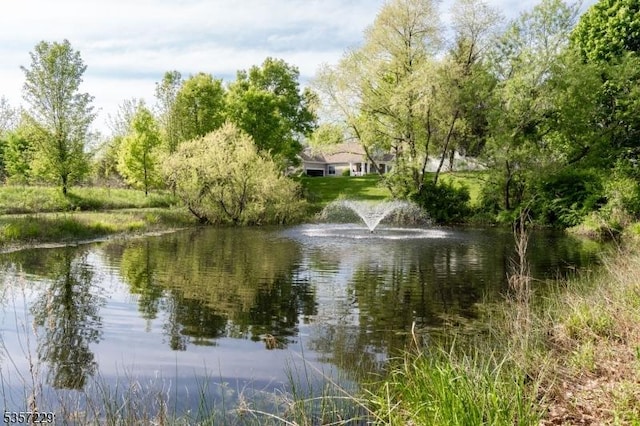 water view