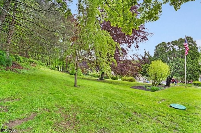 955 Stillwater Rd, Stillwater Twp, NJ 07860 - view of grassy yard