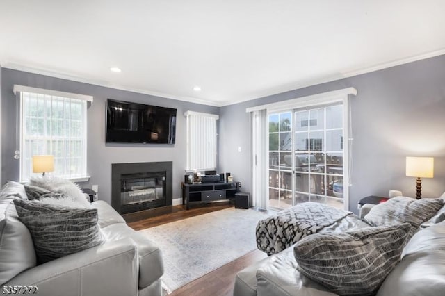 4 Cickener Rd, Hillsborough Twp, NJ 08844 - living area with crown molding, wood finished floors, a glass covered fireplace, and recessed lighting