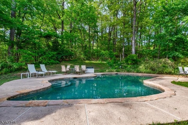 8 Reger Rd, Chester Twp, NJ 07836 - swimming pool with a patio