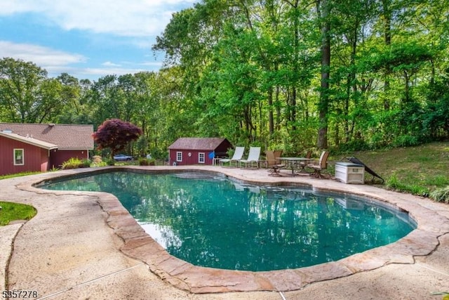 8 Reger Rd, Chester Twp, NJ 07836 - outdoor pool with a patio area and an outdoor structure