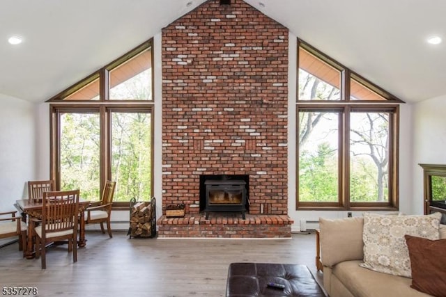 8 Reger Rd, Chester Twp, NJ 07836 - living room with a baseboard radiator, wood finished floors, healthy amount of natural light, high vaulted ceiling, and a wall of windows