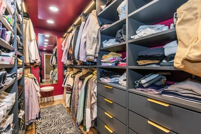 view of spacious closet