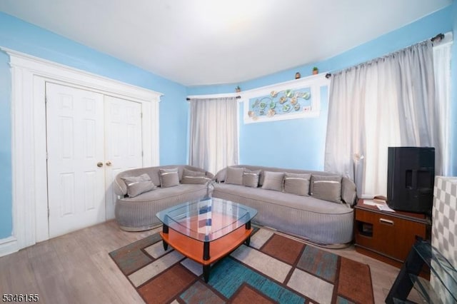 living room with wood finished floors