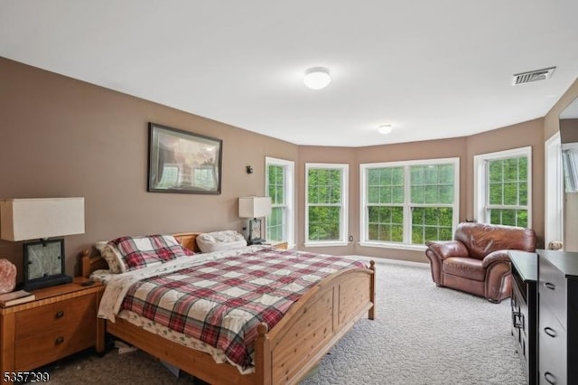 902 Sprout Hill Rd, Hampton Twp, NJ 07860 - view of carpeted bedroom
